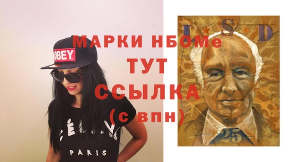 молекула духа Богданович