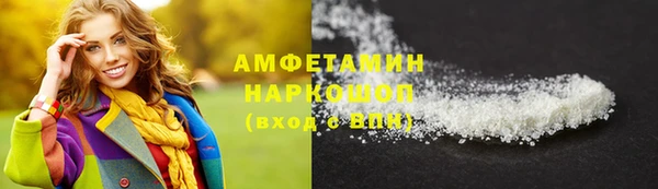 молекула духа Богданович