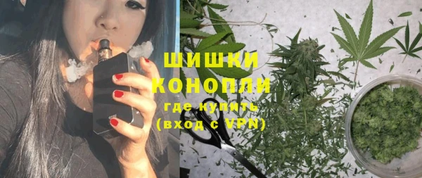твердый Богородицк