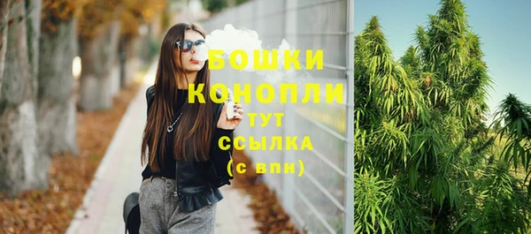 стафф Белокуриха