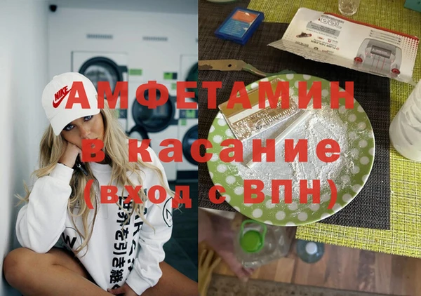 молекула духа Богданович